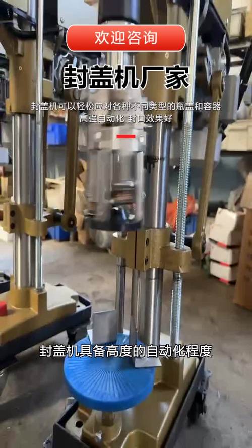 四川全自动封口包装机价格解析 影响因素与选购指南